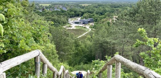 Bergen: hotspots voor een relaxte zondag (of weekend) in dit kunstenaarsdorpje 