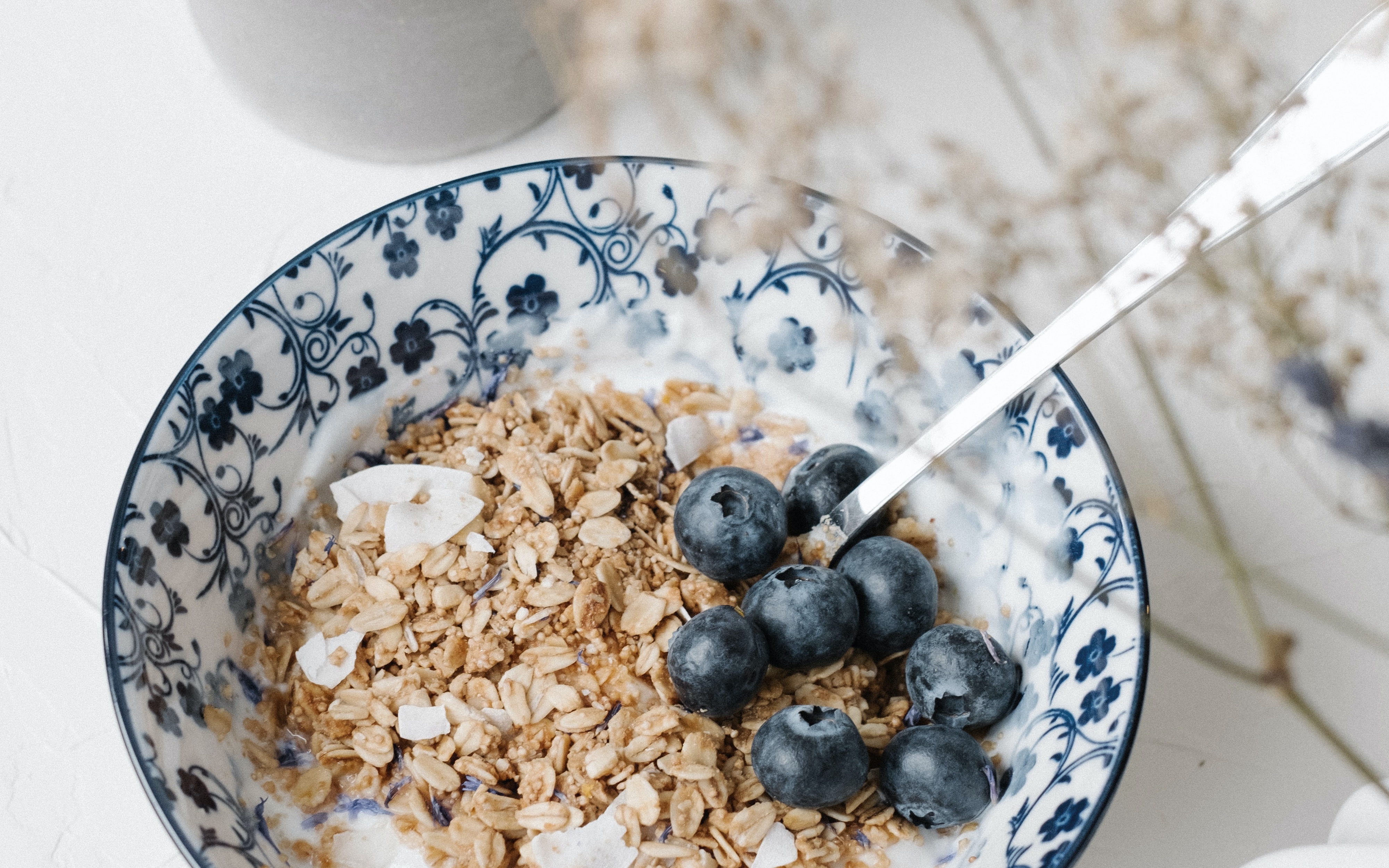 Havermout Dit Gebeurt Er Met Je Gezondheid Als Je Elke Dag 70 Gram Eet Holistik