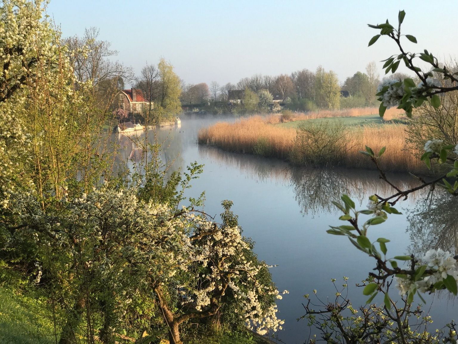 Wandelen in Nederland De leukste wandelroutes en wandeltips ANWB