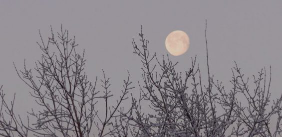 Volle maan: met deze 5 rituelen maak je optimaal gebruik van haar krachtige energie