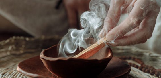 Palo santo: wat is het en hoe gebruik je ‘heilig hout’?