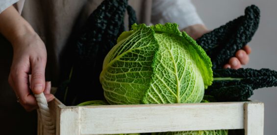 Gynaecoloog: waarom een gezonde hormoonbalans begint bij groenten eten