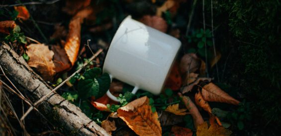 Déze 3 theesoorten ondersteunen jouw weerstand in de herfst